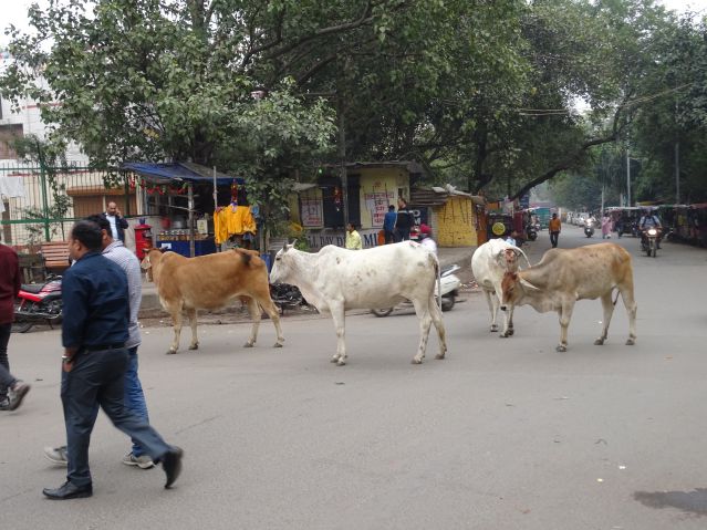 New Delhi